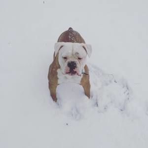 Meet your Posher, Jay